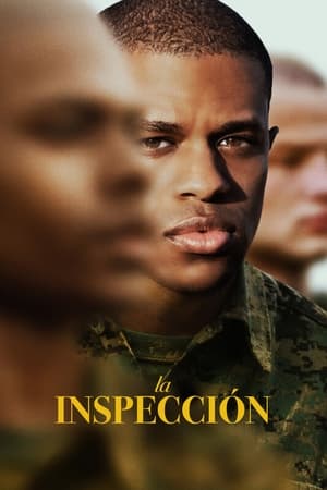 pelicula La inspección