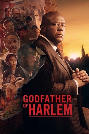 Serie El padrino de Harlem