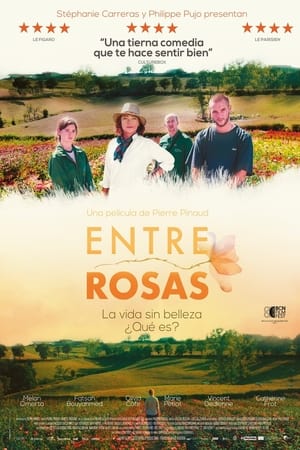 pelicula Entre rosas