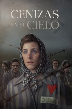 pelicula Cenizas en el cielo