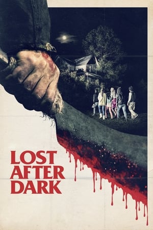 pelicula Lost after dark