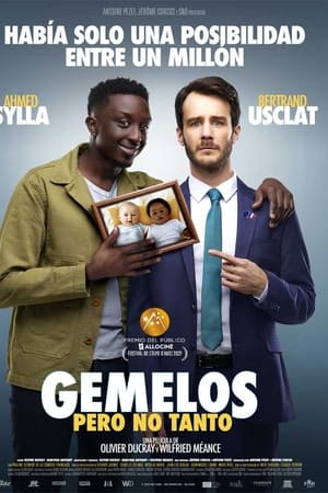 pelicula Gemelos pero no tanto