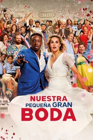 pelicula Nuestra pequeña gran boda