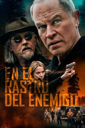 pelicula Boon: El protector