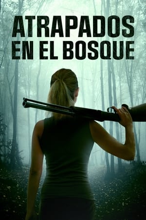 pelicula Atrapados en el bosque