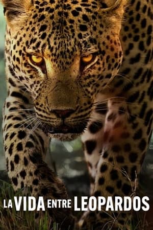pelicula La vida entre leopardos