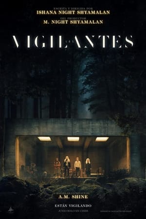 pelicula Los vigilantes