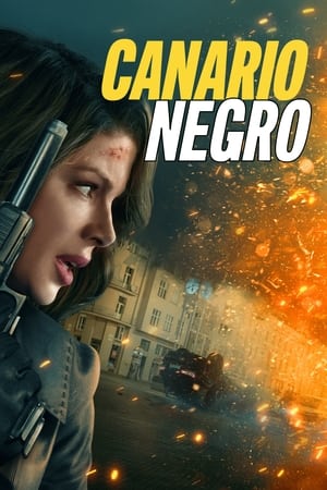 pelicula Canary Black