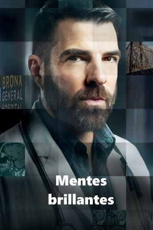 Serie Mentes brillantes